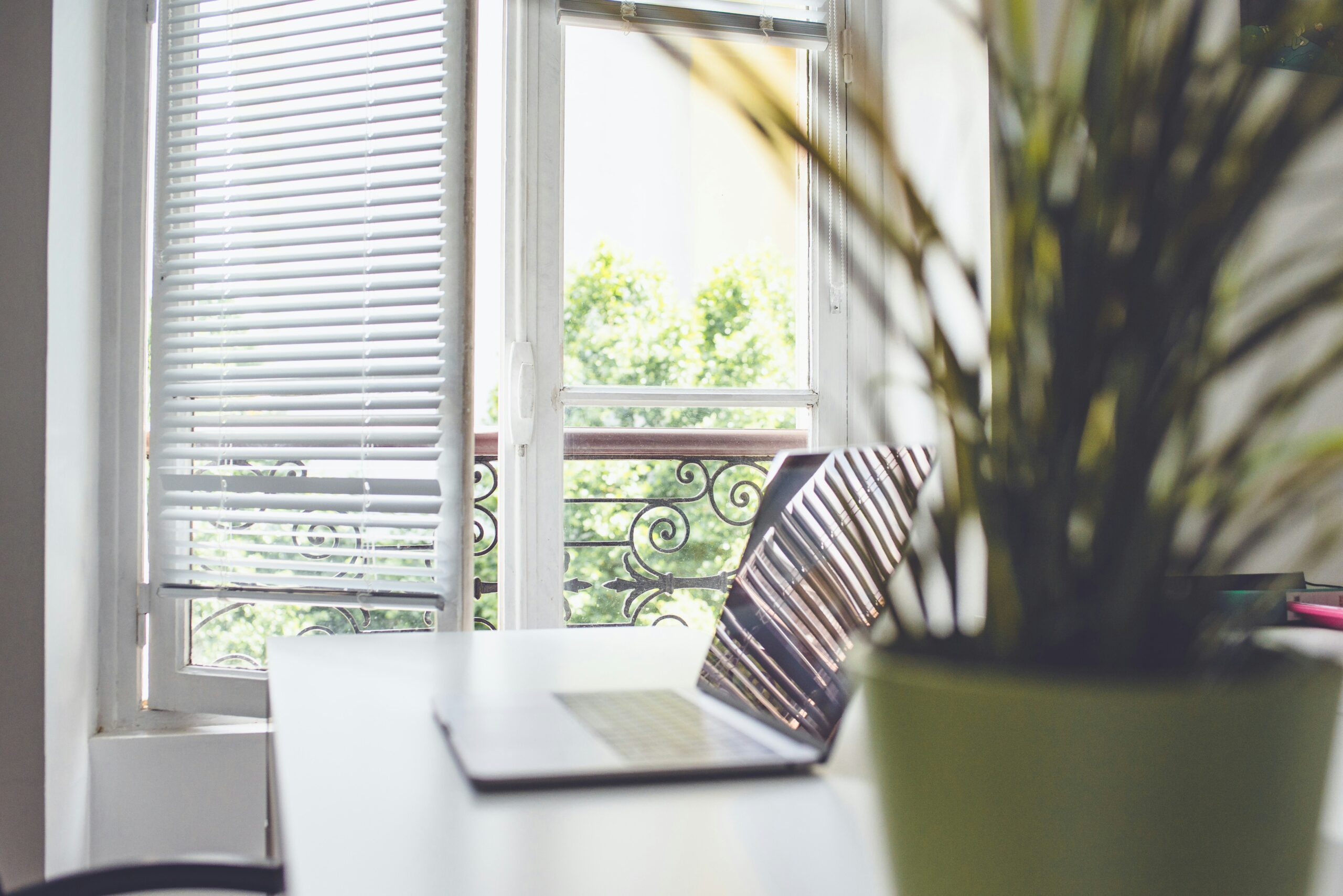 A bright, minimalist office workspace featuring a laptop open on a white desk next to a green potted plant, positioned in front of a large window with white blinds overlooking green trees outside.